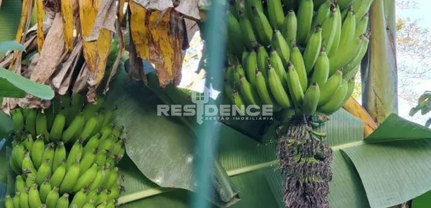 Casa de Condomínio com 4 Quartos à venda, 350m² no Bela Vista, Guarapari