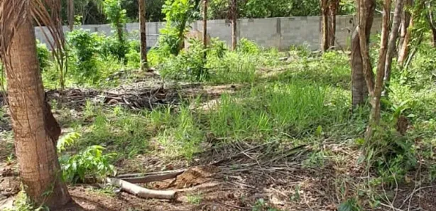 Casa de Condomínio com 1 Quarto à venda, 380m² no Barra do Pojuca (Monte Gordo), Camaçari