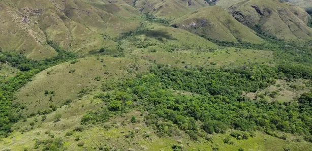 Fazenda / Sítio / Chácara à venda, 5808000m² no , Padre Bernardo