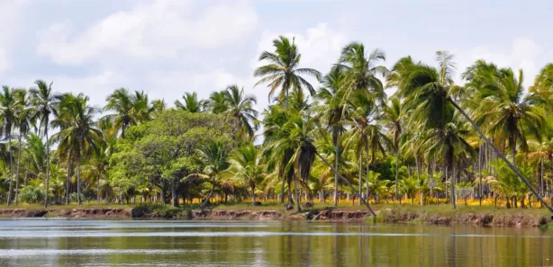Terreno / Lote / Condomínio à venda, 60000m² no Canavieiras, Canavieiras