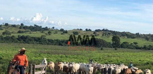 Fazenda / Sítio / Chácara à venda, 51691200m² no , Arapoema