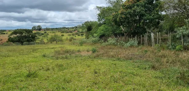Fazenda / Sítio / Chácara com 3 Quartos à venda, 14000000m² no Riachão, Caruaru
