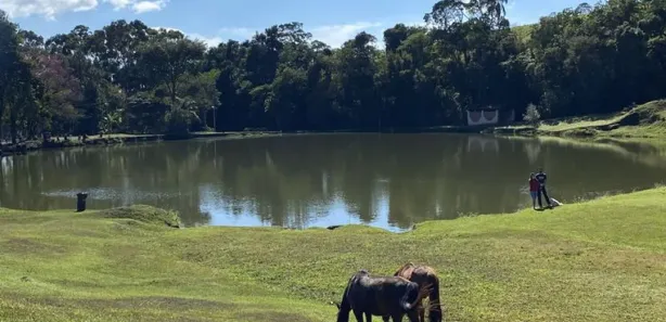 Fazenda / Sítio / Chácara à venda, 1000m² no , Alumínio