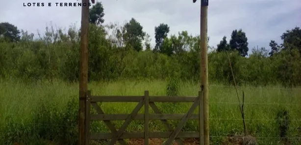 Terreno / Lote / Condomínio à venda, 20000m² no Caeté, Caeté