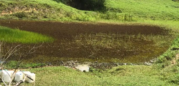 Fazenda / Sítio / Chácara à venda, 1875000m² no , São José da Laje