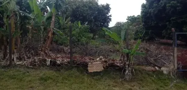 Fazenda / Sítio / Chácara à venda, 52m² no Éden, Ibiporã