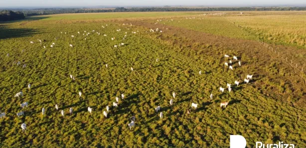 Fazenda / Sítio / Chácara à venda, 304m² no , Guaraí