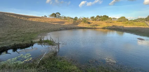 Fazenda / Sítio / Chácara à venda, 45000m² no , Sairé