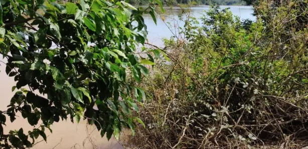 Terreno / Lote / Condomínio com 1 Quarto à venda, 500m² no , Paranã