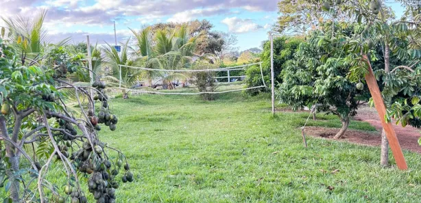 Fazenda / Sítio / Chácara com 3 Quartos à venda, 3000m² no , Nerópolis