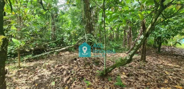 Terreno / Lote / Condomínio à venda, 1260m² no Sertão do Camburi, São Sebastião