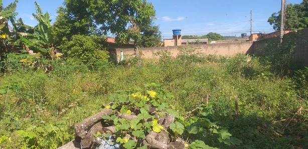 Fazenda / Sítio / Chácara à venda, 3472m² no Arapoanga, Brasília