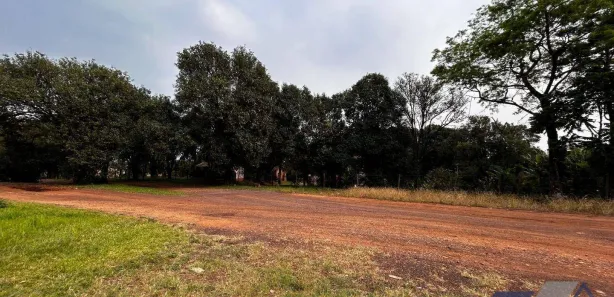 Terreno / Lote / Condomínio à venda, 247900m² no Guaraniaçu, Guaraniaçu