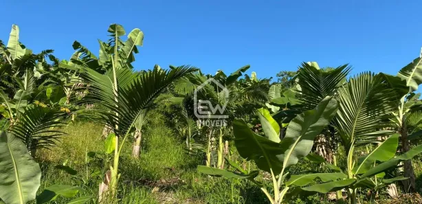 Fazenda / Sítio / Chácara com 1 Quarto à venda, 101850m² no Sete de Janeiro, Massaranduba