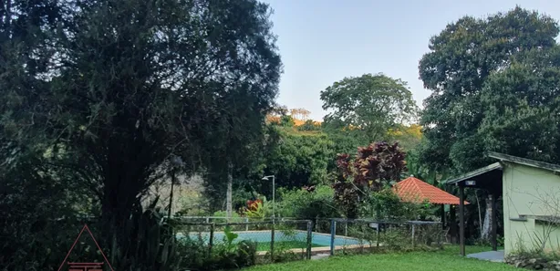Fazenda / Sítio / Chácara com 6 Quartos à venda, 6350m² no Zona Rural, Mendes