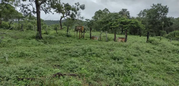 Terreno / Lote / Condomínio à venda, 20000m² no Zona Rural, 