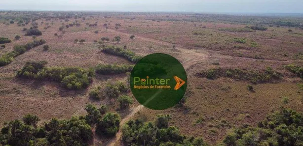 Fazenda / Sítio / Chácara à venda, 19166400m² no , Lagoa da Confusão