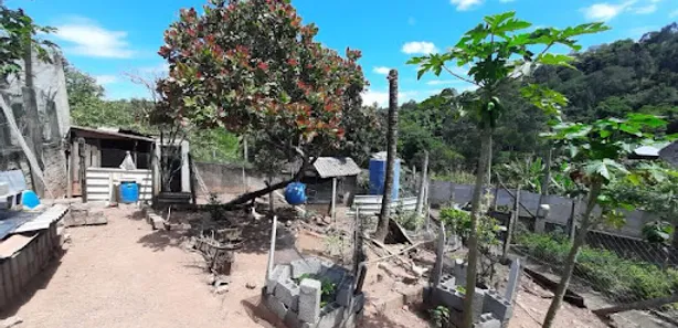 Fazenda / Sítio / Chácara com 3 Quartos à venda, 200m² no Aglomeração Urbana de Jundiaí, Louveira