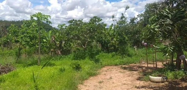 Fazenda / Sítio / Chácara com 2 Quartos à venda, 20000m² no , Brasília