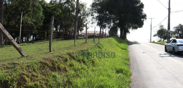Terreno / Lote / Condomínio para venda ou aluguel, 2100m² no Colônia Rio Grande, São José dos Pinhais