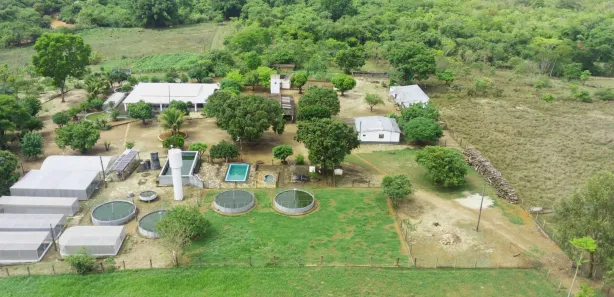 Fazenda / Sítio / Chácara com 4 Quartos à venda, 70000m² no Mansões de Recreio Estrela Dalva VII-A, Novo Gama