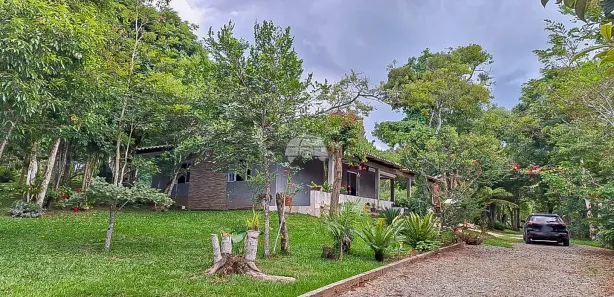 Fazenda / Sítio / Chácara com 3 Quartos à venda, 120m² no Roseira, Campina Grande do Sul