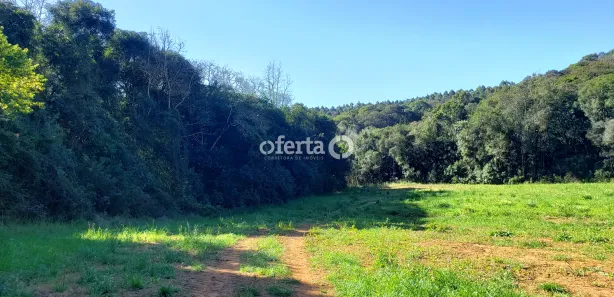 Fazenda / Sítio / Chácara à venda, 22385m² no Porto das Laranjeiras, Araucária