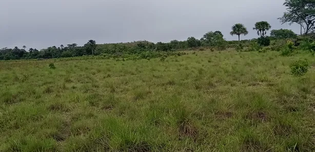 Fazenda / Sítio / Chácara à venda, 200m² no , Ponte Alta do Tocantins