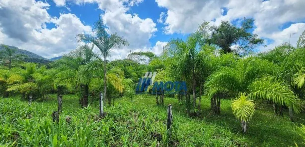 Fazenda / Sítio / Chácara com 3 Quartos à venda, 300m² no Rio do Cedro, Antonina