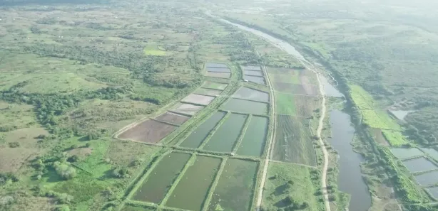 Fazenda / Sítio / Chácara com 2 Quartos à venda, 326000m² no , Pilar