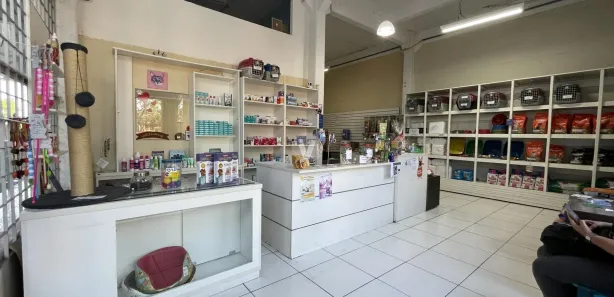 Loja / Salão / Ponto Comercial com 3 Quartos à venda, 266m² no São José, Santa Maria