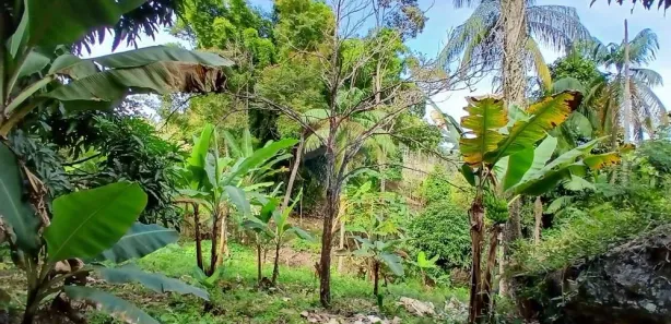 Fazenda / Sítio / Chácara com 2 Quartos à venda, 16200m² no , Bom Jardim