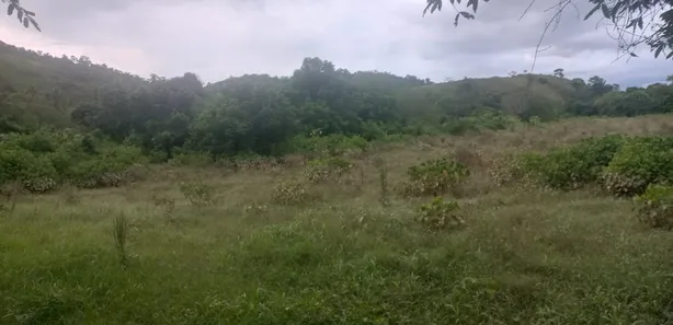 Fazenda / Sítio / Chácara à venda, 110000m² no Papucaia, Cachoeiras de Macacu