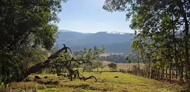 Terreno / Lote / Condomínio à venda, 10000m² no Centro, Pouso Alegre