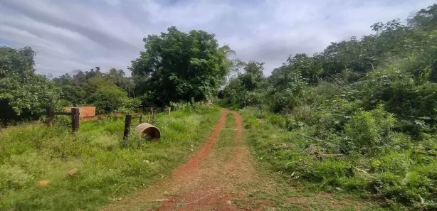 Terreno / Lote / Condomínio à venda, 2950m² no Condomínio Horizontal Marajoara, Ibiporã
