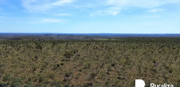 Fazenda / Sítio / Chácara à venda, 4453m² no , Ponte Alta do Tocantins