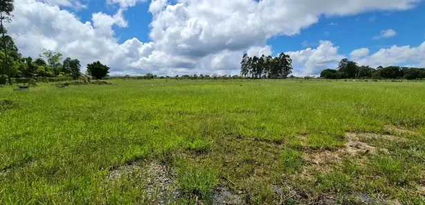 Fazenda / Sítio / Chácara com 1 Quarto à venda, 20000m² no Brazlândia, Brasília