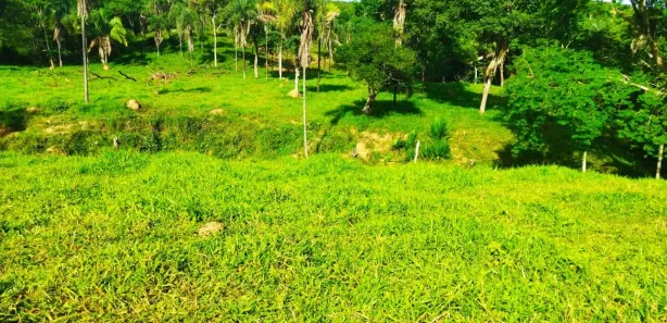 Fazenda / Sítio / Chácara com 2 Quartos à venda, 210000m² no Padre Bernardo, Padre Bernardo