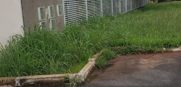 Terreno / Lote / Condomínio à venda, 2500m² no Park Way, Brasília