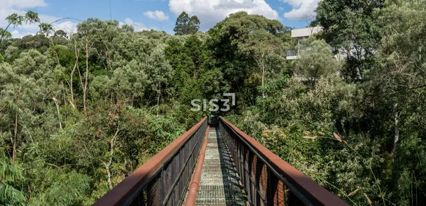 Terreno / Lote / Condomínio à venda, 700m² no Cecilia, Campo Magro