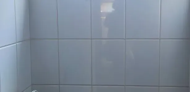 Loja / Salão / Ponto Comercial para alugar, 650m² no Centro, Araras