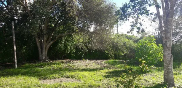 Fazenda / Sítio / Chácara com 1 Quarto à venda, 200m² no Alpes Suiços, Gravatá