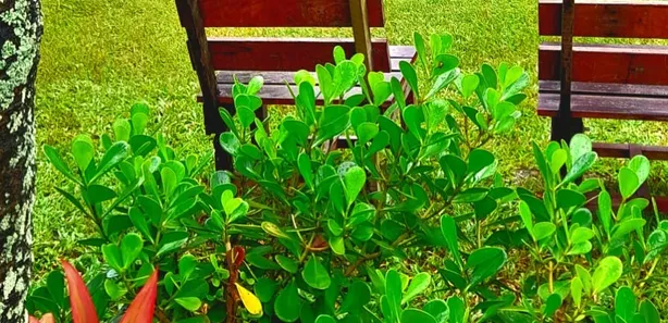 Casa com 3 Quartos à venda, 5700m² no Barra do Pojuca (Monte Gordo), Camaçari