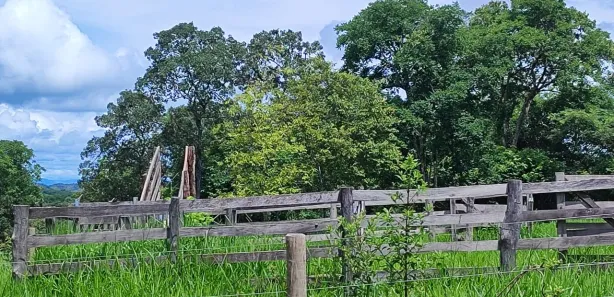 Fazenda / Sítio / Chácara com 3 Quartos à venda, 363000m² no Bezerra, Formosa