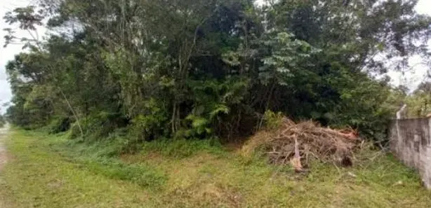 Fazenda / Sítio / Chácara à venda, 2542m² no Gaivota, Itanhaém
