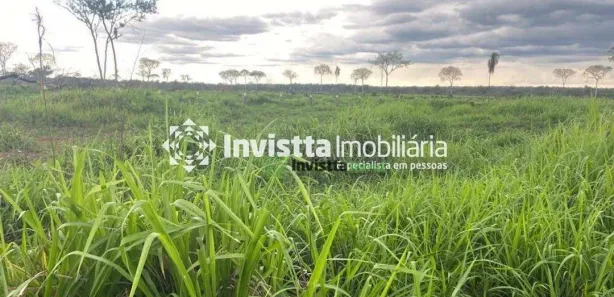 Fazenda / Sítio / Chácara à venda, 1040m² no Centro, Lagoa da Confusão