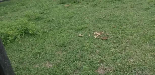 Fazenda / Sítio / Chácara à venda, 4345240m² no , Porto Murtinho