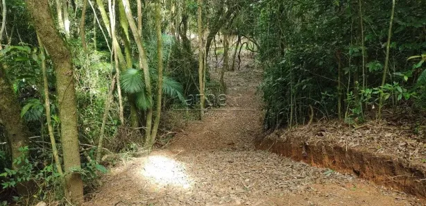 Terreno / Lote / Condomínio à venda, 38320m² no Itatuba, São Lourenço da Serra