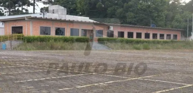 Galpão / Depósito / Armazém à venda, 3000m² no Roseira de São Sebastião, São José dos Pinhais