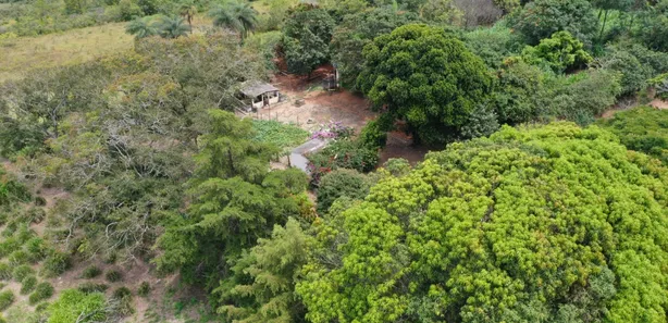 Fazenda / Sítio / Chácara à venda, 130000m² no Arapoanga, Brasília
